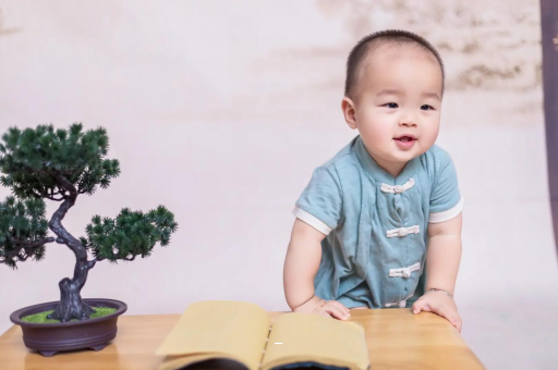 清远可爱的企鹅宝宝